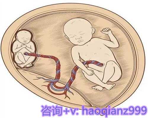 [上海市正规助孕医院]2024上海正规助孕助孕机构汇总