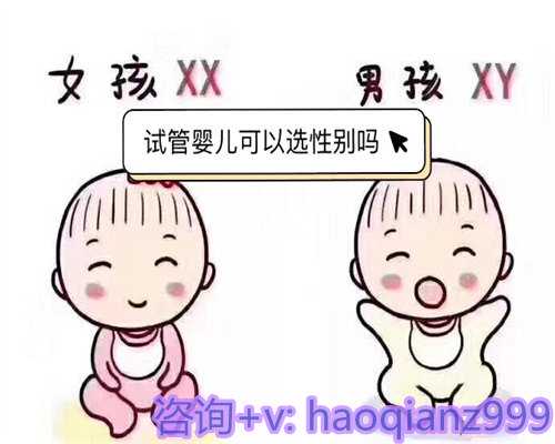 广州助孕中介-广东助孕公司找哪家