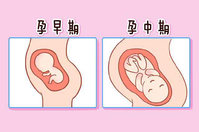 成都代孕生殖专家，成都公立不孕不育医院，四川省生殖专科医院是公立的吗？