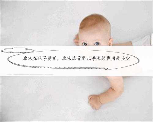 北京在代孕费用，北京试管婴儿手术的费用是多少